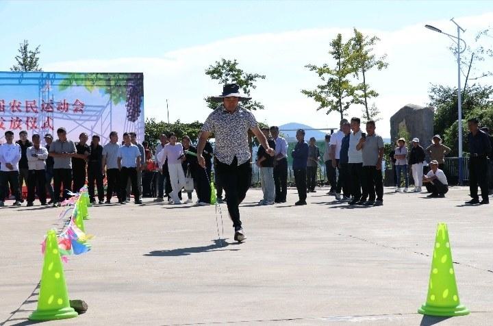 msn, 过农民运动 msn, 过农民运动