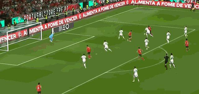 维蒂尼亚 维蒂尼亚